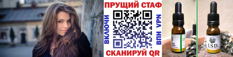 Сколько стоит Дальнегорск МЕТАДОН  Меф  Галлюциногенные грибы 