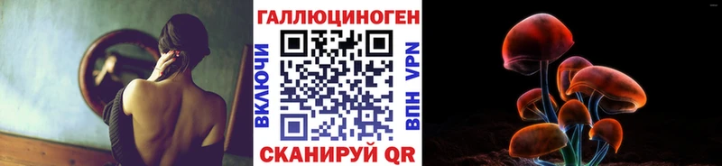 нарко площадка формула Дальнегорск Галлюциногенные грибы Cubensis