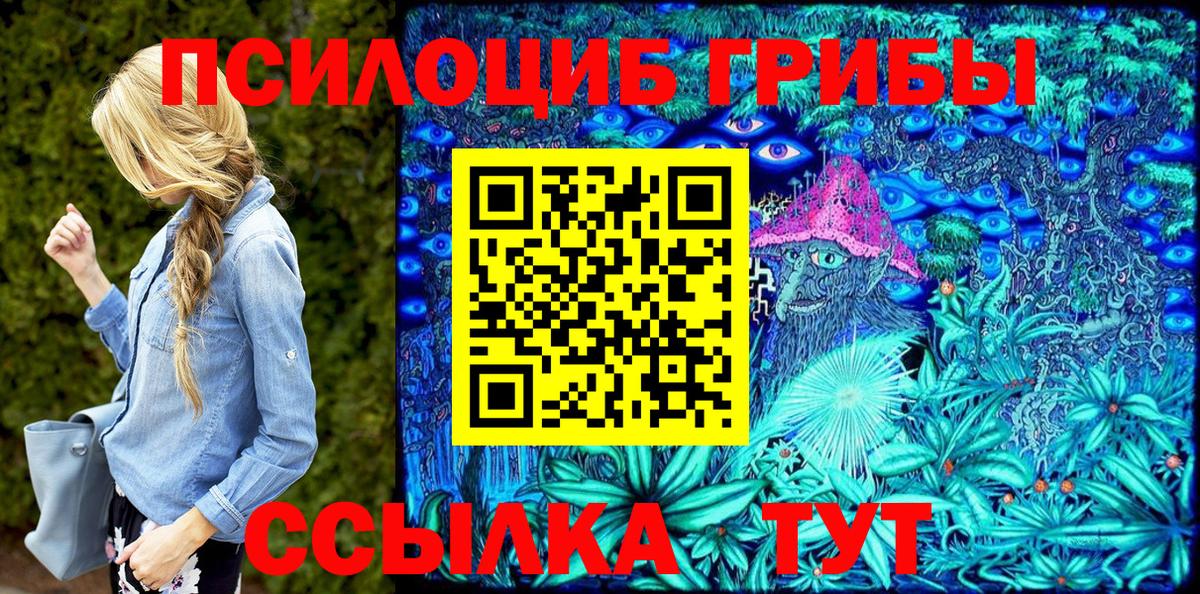 Дальнегорск  Псилоцибиновые грибы Magic Shrooms  Вход с VPN 