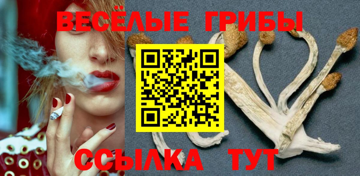 Галлюциногенные грибы ЛСД Дальнегорск