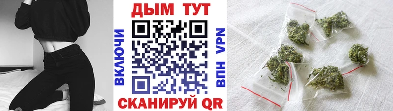Каннабис OG Kush  Дальнегорск 